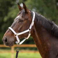 Halfter HV Polo Skye Weiß Weiß Halfter HV Polo Skye Weiß Weiß