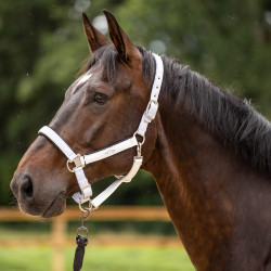 Halfter HV Polo Skye Weiß Weiß