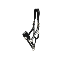 Kingsland Classic Halfter mit Fleece Schwarz