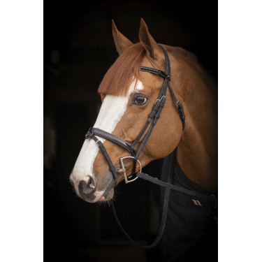 Birdon Oxford Performance Pénélope Birdon Oxford Performance Pénélope