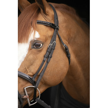 Birdon Oxford Performance Pénélope Birdon Oxford Performance Pénélope