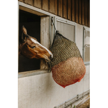 Hippotonic Heunetz Fein Hippotonic Heunetz Fein
