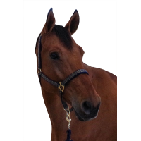 Set Halfter + Führstrick Sonoma Canter Marine Marineblau