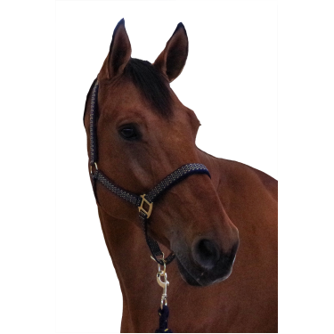 Set Halfter + Führstrick Sonoma Canter Set Halfter + Führstrick Sonoma Canter