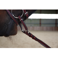 Rênes ajustables à poignées Flags & Cup