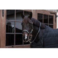 Longe Plaited Nylon Kentucky Bordeaux