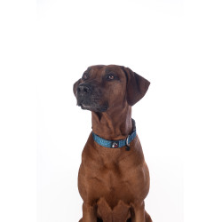 HKM Anam Cara Hundehalsband Nylon Petrol Blau HKM Anam Cara Hundehalsband Nylon Petrol Blau