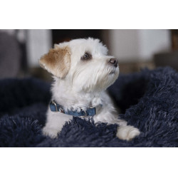 HKM Anam Cara Hundehalsband Nylon Petrol Blau HKM Anam Cara Hundehalsband Nylon Petrol Blau