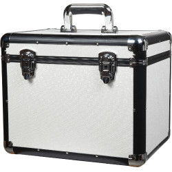 Putzbox HKM Glam Silberfarben
