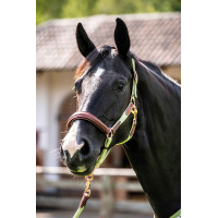 Halfter HKM Edinburgh Brandy Braun