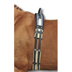 Longiergurt mit Griff HKM Longiergurt mit Griff HKM