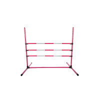 Springset HKM Hobby Horsing Pink Rosa