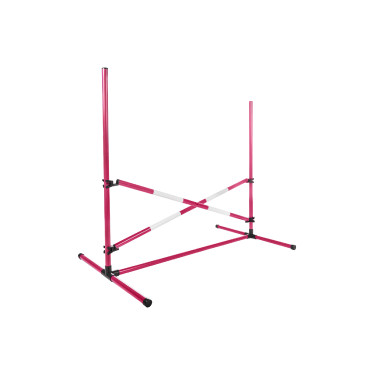 Springset HKM Hobby Horsing Pink Rosa