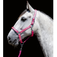 Halfter Stars Softice weiches Futter HKM Neongelb Halfter Stars Softice weiches Futter HKM Neongelb