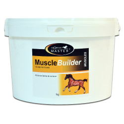 Muscle Builder Horse Master Muscle Builder Horse Master