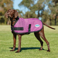 Hundemantel WeatherBeeta ComFiTec Classic Dunkelgrau Hundemantel WeatherBeeta ComFiTec Classic Dunkelgrau