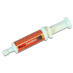 Pro L Carnitine Horse Master Pro L Carnitine Horse Master