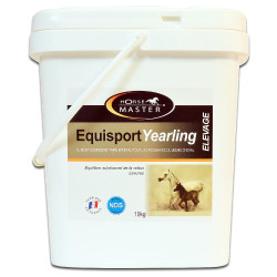 Equisport Jährlingspferde Meister Equisport Jährlingspferde Meister
