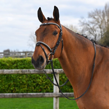 Bridon Clincher Jump'In One Premium Schwarz