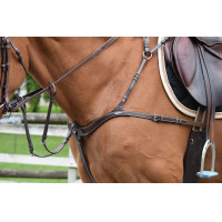 Collier de chasse Jump'In cinq points et martingale Noisette