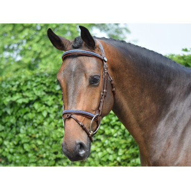 Filet Jump'In Crystal kombiniertem Reithalfter Week Havanna Kristall Blau
