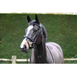 Filet Jump'In Crystal kombiniertem Reithalfter Week Schwarz Filet Jump'In Crystal kombiniertem Reithalfter Week Schwarz