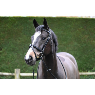 Filet Jump'In Crystal kombiniertem Reithalfter Week Schwarz Filet Jump'In Crystal kombiniertem Reithalfter Week Schwarz