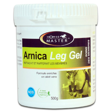 Arnica Bein Gel Horse Master Arnica Bein Gel Horse Master