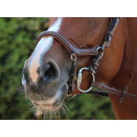 New York Reithalfter Jump'In One Schwarz New York Reithalfter Jump'In One Schwarz