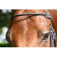 Frontal Monday Jump'In Havanna Braun