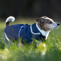 Hundedecke Bucas Freedom 150g Marineblau Hundedecke Bucas Freedom 150g Marineblau