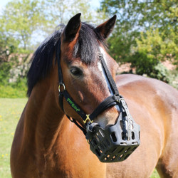 Greenguard-Korb Greenguard-Korb