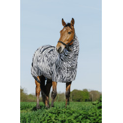Ekzemerdecke Zebra Riding World Ekzemerdecke Zebra Riding World