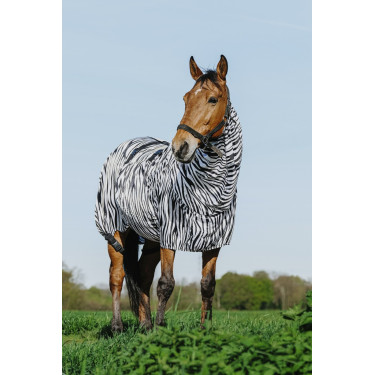 Ekzemerdecke Zebra Riding World Ekzemerdecke Zebra Riding World