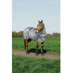 Ekzemerdecke Zebra Riding World Ekzemerdecke Zebra Riding World