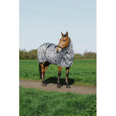 Ekzemerdecke Zebra Riding World Ekzemerdecke Zebra Riding World