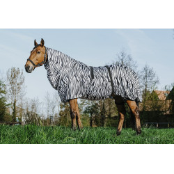 Ekzemerdecke Zebra Riding World Ekzemerdecke Zebra Riding World