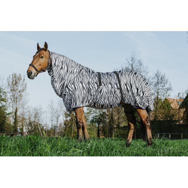 Ekzemerdecke Zebra Riding World Ekzemerdecke Zebra Riding World