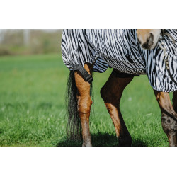 Ekzemerdecke Zebra Riding World Ekzemerdecke Zebra Riding World