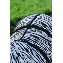 Ekzemerdecke Zebra Riding World Ekzemerdecke Zebra Riding World