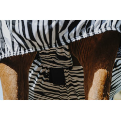 Ekzemerdecke Zebra Riding World Ekzemerdecke Zebra Riding World