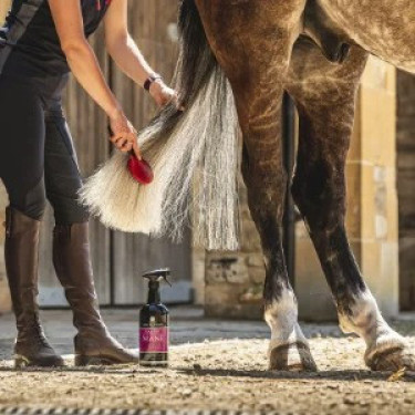 Mähnen- und Schweiflotion Canter® Carr & Day & Martin Mähnen- und Schweiflotion Canter® Carr & Day & Martin