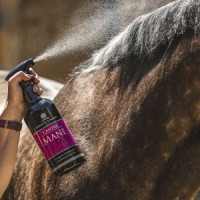 Lotion crinière et queue Canter® Carr & Day & Martin Lotion crinière et queue Canter® Carr & Day & Martin