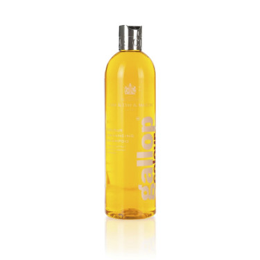 Shampoo Gallop® Carr & Day & Martin Haselnuss und Palomino Shampoo Gallop® Carr & Day & Martin Haselnuss und Palomino