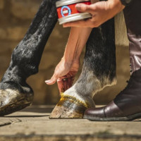 Pommade pour sabots Carr & Day & Martin Cornucrescine