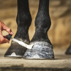 Öl für Hufe Carr & Day & Martin Daily Hoof Moisturiser Cornucrescine Öl für Hufe Carr & Day & Martin Daily Hoof Moisturiser Cornucrescine