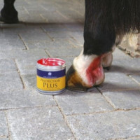 Crème de protection Carr & Day & Martin Protection Plus