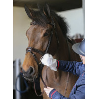 Belvoir® Carr & Day & Martin Tack Cleaner Reinigungshandschuhe Weiß Belvoir® Carr & Day & Martin Tack Cleaner Reinigungshandschuhe Weiß