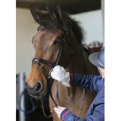 Belvoir® Carr & Day & Martin Tack Cleaner Reinigungshandschuhe Belvoir® Carr & Day & Martin Tack Cleaner Reinigungshandschuhe