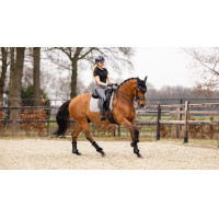 LeMieux Dressur-Schabracke - Baumwolle Weiß Weiß LeMieux Dressur-Schabracke - Baumwolle Weiß Weiß